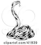 Clipart Illustration Of A Black And White Defensive Snake by dero