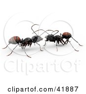 Two 3d Worker Ants Conversating Together