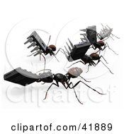 Poster, Art Print Of 3d Worker Ants Carrying Micro Chips