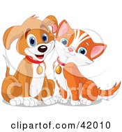 Happy Brown Puppy And Orange Kitten Resting Their Cheeks Together