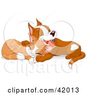 Clipart Illustration Of An Adorable Puppy And Kitten Taking A Nap Together by Pushkin