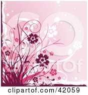 Poster, Art Print Of Grunge Maroon And Pink Floral Background