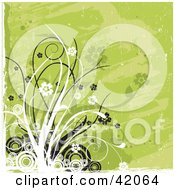 Poster, Art Print Of Grunge Green And White Floral Background