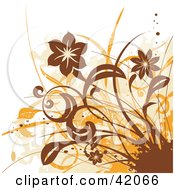 Poster, Art Print Of Grunge Brown And Orange Floral Background On White