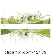 Poster, Art Print Of Grunge Text Box Bordered With Green And Beige Waves Plants And Tendrils On White