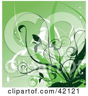 Poster, Art Print Of Grunge Floral Background Of Green And White Plants
