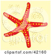 Red And Yellow Starfish On A Beige Sand Background