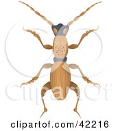 Clipart Illustration Of A Long Brown Beetle With Spots On Its Back by Paulo Resende