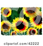 Clipart Illustration Of A Background Of Grungy Yellow Sunflowers On Green by Prawny