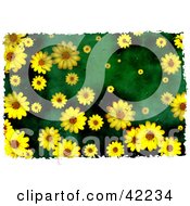 Poster, Art Print Of Background Of Grungy Yellow Daisies On Green