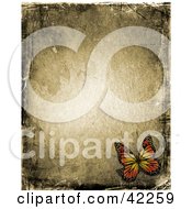 Poster, Art Print Of Pretty Butterfly In The Corner Of A Brown Grunge Background