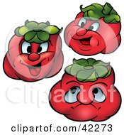 Clipart Illustration Of Three Expressive Tomatoes by dero