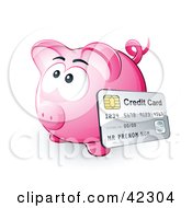 Credit Card Resting Against A Pink Piggy Bank