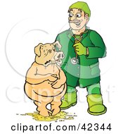 Veterinarian Attending To A Pig Standing In Barf