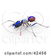 Poster, Art Print Of Red Ant With A Blue Racing Stripe Painted On Its Back