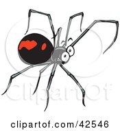 Grinning Black Widow Spider With Long Legs