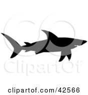 Poster, Art Print Of Black Silhouette Of A Swimming Shark