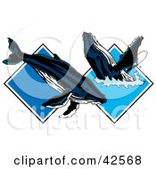 Poster, Art Print Of Two Whales Frolicking In Blue Water Diamonds