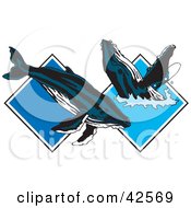 Poster, Art Print Of Two Blue Whales Frolicking In Water Diamonds