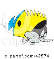 Poster, Art Print Of Blue Yellow Black And White Marine Fish