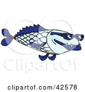 Poster, Art Print Of Cool Blue Fish Wearing Shades