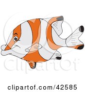 Poster, Art Print Of Friendly Orange And White Fish