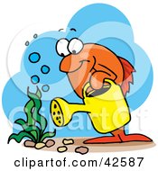 Orange Marine Fish Watering An Aquatic Plant