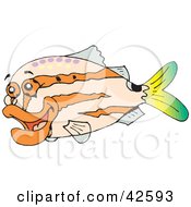 Poster, Art Print Of Happy Striped Orange And Pink Fish