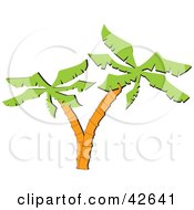 Clipart Illustration Of A Double Trunked Palm Tree by Dennis Holmes Designs