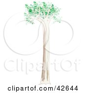 Clipart Illustration Of A Tall Gum Tree by Dennis Holmes Designs