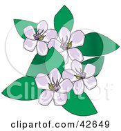 Clipart Illustration Of A Cluster Of Pale Purple Flowers And Green Leaves by Dennis Holmes Designs