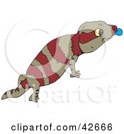 Poster, Art Print Of Brown And Red Striped Lizard Sticking Out Its Blue Tongue