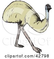Clipart Illustration Of A Walking Emu Bird