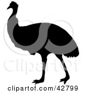 Poster, Art Print Of Black And White Silhouetted Emu
