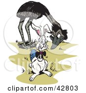 Clipart Illustration Of A Mean Emu Staring At A Scared Easter Bunny With An Egg by Dennis Holmes Designs