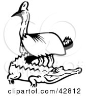 Poster, Art Print Of Black And White Emu Standing Over A Gator