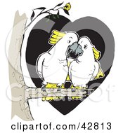 Poster, Art Print Of White And Yellow Cockatoo Bird Pair Cudding In A Tree