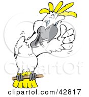 Poster, Art Print Of White And Yellow Cockatoo Bird Giving The Thumbs Up
