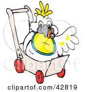 Poster, Art Print Of Baby Cockatoo Bird In A Stroller