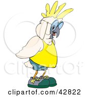 Clipart Illustration Of A White And Yellow Cockatoo Bird Giving A Lecture