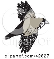 Clipart Illustration Of A Flying Double Bar Finch Bird by Dennis Holmes Designs