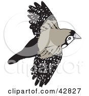 Poster, Art Print Of Flying Double Bar Finch Bird