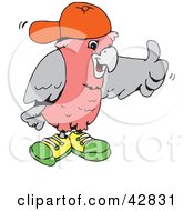 Galah Cockatoo Wearing Shoes And A Hat And Giving The Thumbs Up