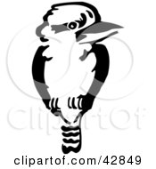 Clipart Illustration Of A Black And White Kookaburra Bird by Dennis Holmes Designs