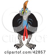 Poster, Art Print Of Angry Cassowary Facing Front