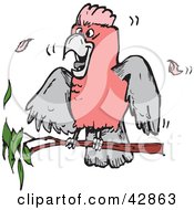 Poster, Art Print Of Pink And Grey Galah Cockatoo Bird On A Branch