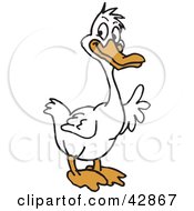 Clipart Illustration Of A Happy White Duck Holding Up One Of His Feathers