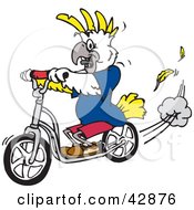 Clipart Illustration Of A White And Yellow Cockatoo Bird Riding A Scooter by Dennis Holmes Designs