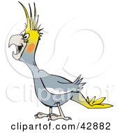 Clipart Illustration Of A Laughing Gray Cockatiel