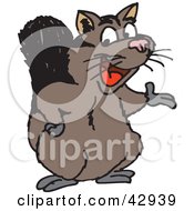 Poster, Art Print Of Presenting Possum